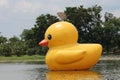 Duck rubber sculpture.